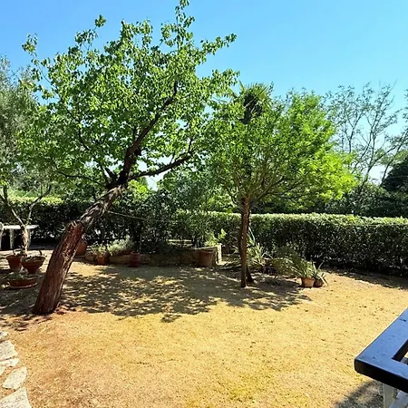 A43 - Ancona, Ampio Trilocale Con Giardino