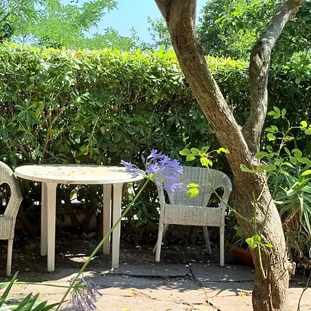 A43 - Ancona, Ampio Trilocale Con Giardino * Ancône